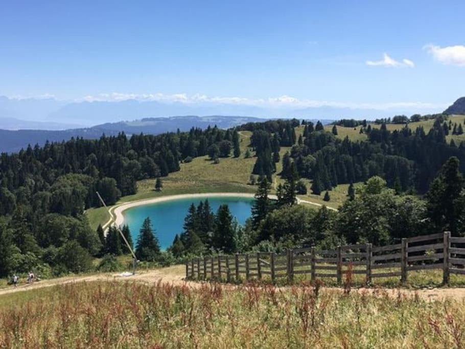 Studio « Le Petit Montagnard » Malbuisson Kültér fotó