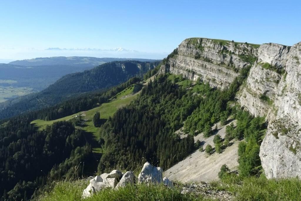Studio « Le Petit Montagnard » Malbuisson Kültér fotó