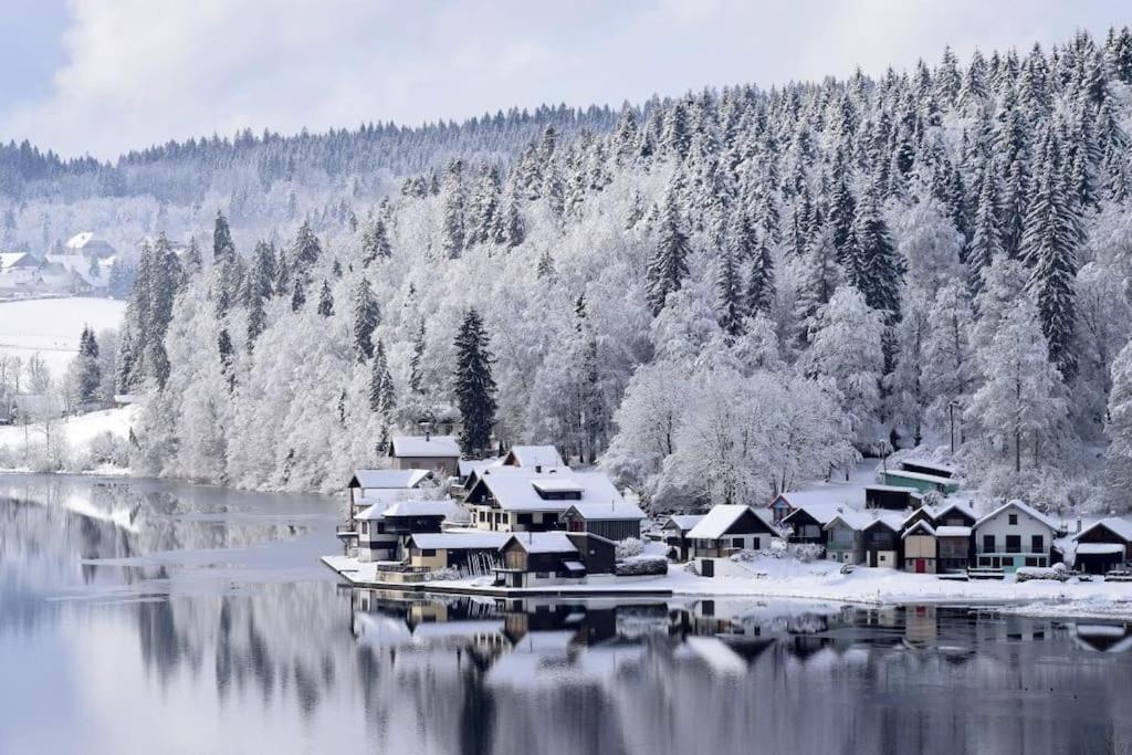 Studio « Le Petit Montagnard » Malbuisson Kültér fotó